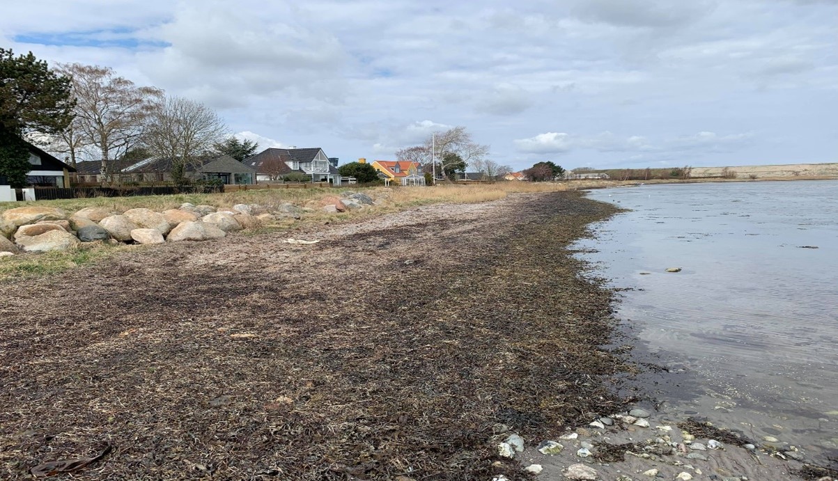 Dragør strand